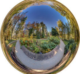 Botanischer Garten