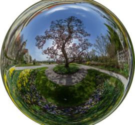 Blütezeit im Botanischen Garten