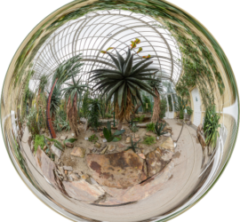 Gewächshaus im Botanischen Garten