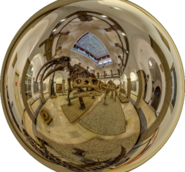 Paläontologische Museum